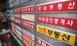 부동산 특별시, 강남구