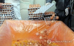 에톡사졸 검출된 계란 폐기