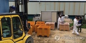 폐기되는 살충제 계란