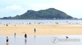 비가 와도 해수욕이 최고