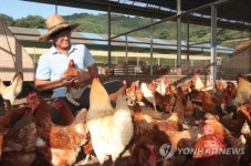 동물복지 인증을 받은 벽오리 농장