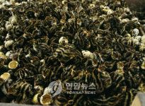 메추리·육계도 안심 못 해…경기도, 살충제 검사 실시