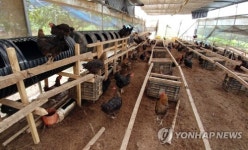 살충제 검출된 방목형 농장