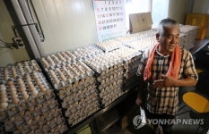 속 타는 산란계 농장주