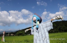 참새는 접근 금지