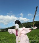 참새는 접근 금지