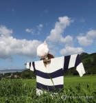 참새는 접근 금지