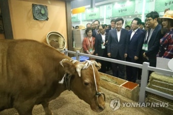 스마트 환경에서 키우는 소 관람하는 이낙연 총리