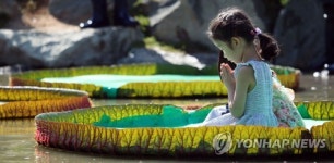 합장