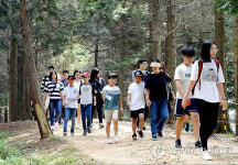 대전현충원 보훈둘레길 걸어요