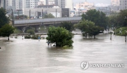불어난 물에 잠긴 온천천 시민공원