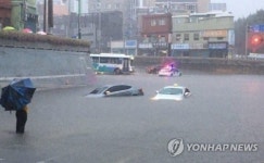 물에 잠긴 가야대로