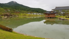 도청에 연못 공원 2곳 있는데 또 실개천 조성…예산 낭비
