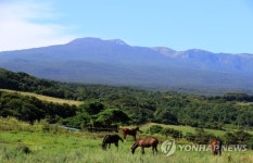 가을이 반가운 한라산의 말들