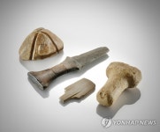 강원도 화천 거례리 출토 유물