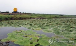 멸종위기 2급 가시연꽃