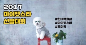 펫팸족 잡아라…현대百, 반려견 콘테스트·애완용품 할인행사