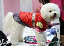 한복 잘 어울리나요?