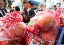 광화문에서 농수축산물 직거래 하세요