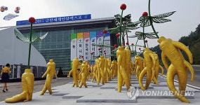 금산세계인삼엑스포장에 등장한 인삼 조형물