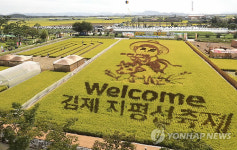 벼로 만든 'Welcome 김제 지평선축제'
