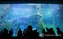 알바노조 롯데 아쿠아리움, 꺾기로 임금 덜 지급
