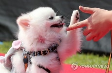 교감
