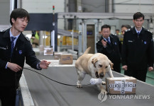 관세청, 내년부터 공항·항만 감시조직 근무 3교대로 전환