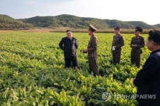 농장 현지지도하는 북한 김정은