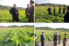 북 김정은, 군부대 농장 시찰…추석 앞두고 민생 행보