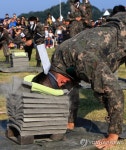 이것이 특공무술