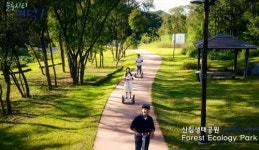 [카메라뉴스] 영덕 산림생태공원 왕발통 인기