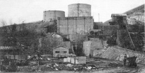 장항 송림숲 토양정화 착수…국내 최초 대안공법 적용