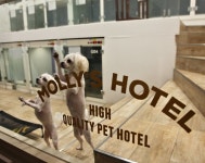 하루 20만∼30만원 숙박료에도…애견호텔 추석 특수