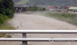 인천 서구 공촌천 물고기 집단 폐사…원인 불분명