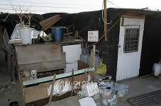 주거복지 사각 없앤다…경기도, 비닐하우스 거주 가구 조사