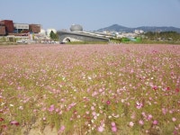 서울 4개 물재생센터, 가을철 여가공간으로 개방
