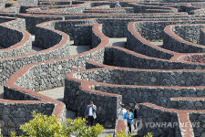 증평에 농촌 테마공원…미로 공원·허브가든 조성