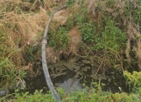 가축분뇨 수천t 모터펌프로 하천에 콸콸…업자 구속영장