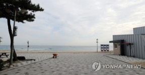 더 가까워진 바다