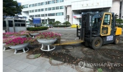 창원시청 앞 대형화분 철거