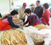 [카메라뉴스] 인삼 고장 음성 오셔서 건강 챙기세요