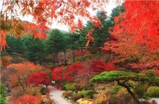 산과 들이 오색으로 물들었다…경기도 단풍 명소는 어디