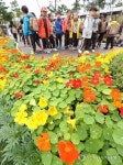 가을에 만나는 싱그러운 봄