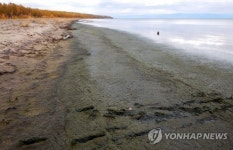 바이칼호 녹차라떼 위기…고유어종 실종·부패녹조 확산