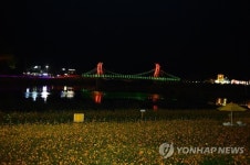 노란 꽃 잔치 축제장의 가을밤