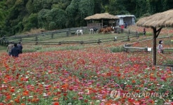 횡성한우축제 테마목장