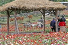 횡성한우축제 개막