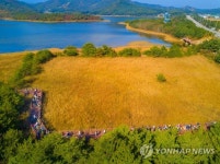 송지호 둘레길을 걸어요