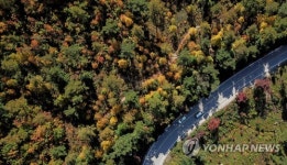 알록달록 가을 빛깔로 물든 산천…태풍도 막지 못한 풍상고결